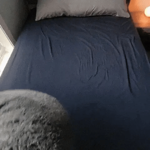 Love Blanket